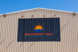 southwest salt logo
